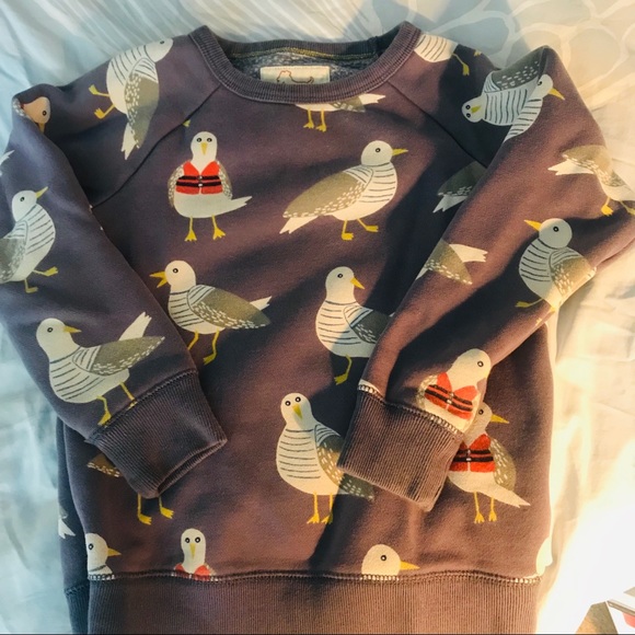 boden boys sweatshirt